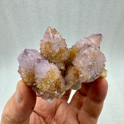 Drusa de amatista cactus espíritu