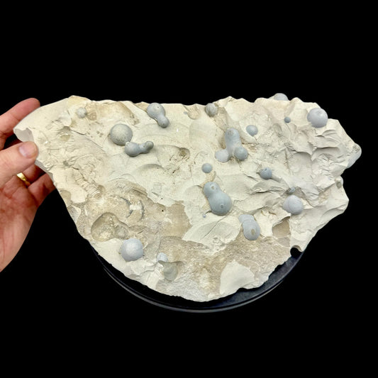 Ópalo menilito menilita grupo en matriz - MUNAY MINERALES MALLORCA