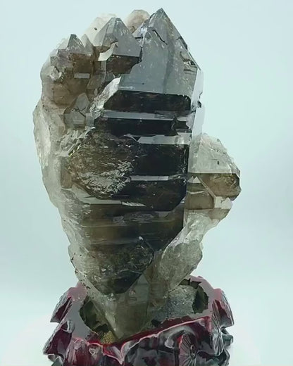 Yacare Elestial Master Quartz 7.8 KG. 