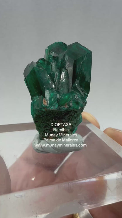 Dioptasa Munay Namibia África