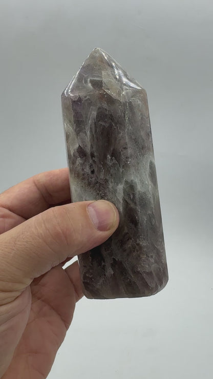 Prasiotrino punta generadora 649 gr.
