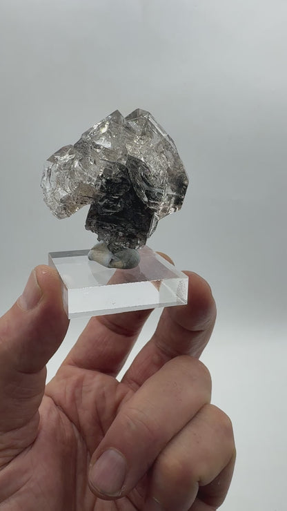Cuarzo diamante Herkimer cetro