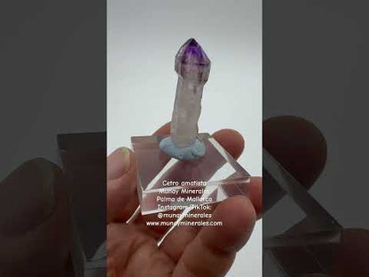 Cetro de amatista Munay Minerales Mallorca