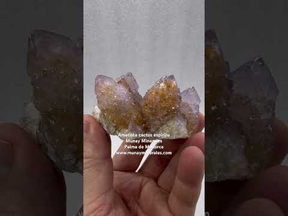 Drusa de amatista cactus espíritu