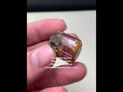 Turmalina bicolor verde y rosa