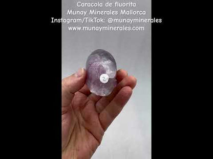 Caracola de fluorita