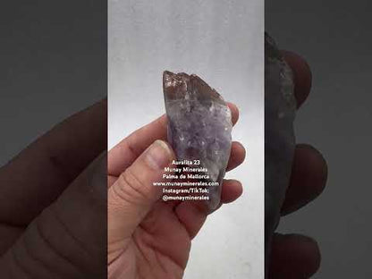 Auralita 23 punta natural