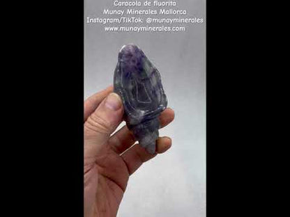 Caracola de fluorita