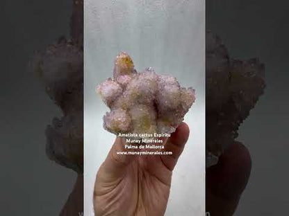 Drusa de amatista cactus espíritu
