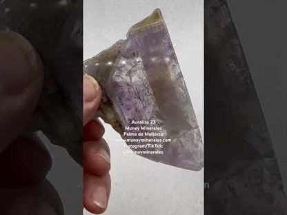 Auralita 23 rodaja pulida