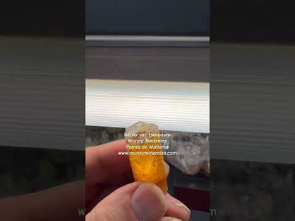 Berilo var. Heliodoro