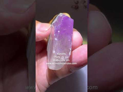 Kunzita colgante plata de ley espodumena