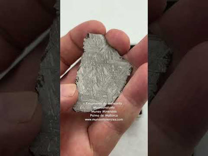 Fragmento de meteorito Muonionalusta pulido con figuras de Widmanstätten