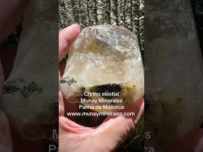 Elestial Citrine with Green Tourmaline