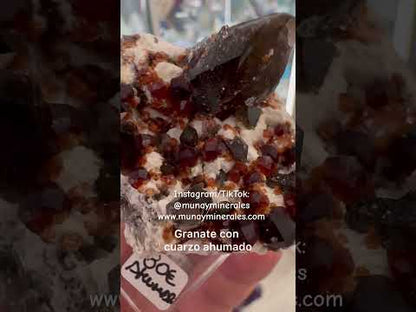 Garnets and smoky quartz on matrix