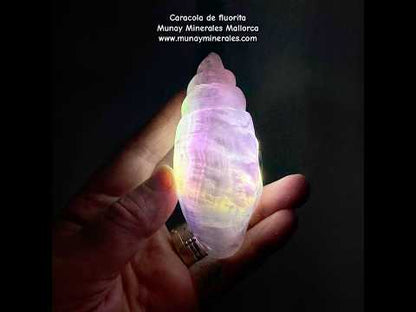 Caracola de fluorita