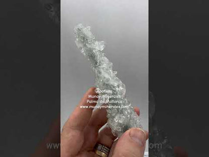 Apofilita racimo estalactita