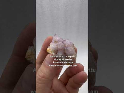 Drusa de amatista cactus espíritu