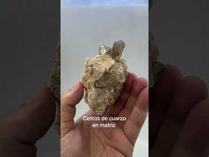 Quartz scepters on matrix