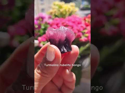 Turmalina rubelita hongo seta Myanmar