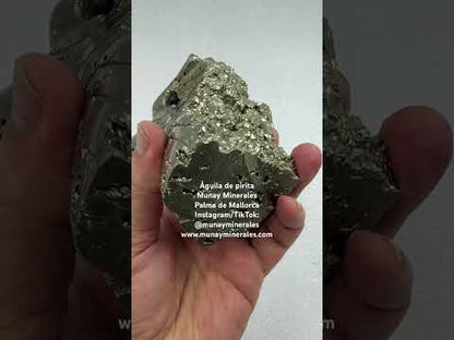 Águila de pirita Munay Minerales Mallorca