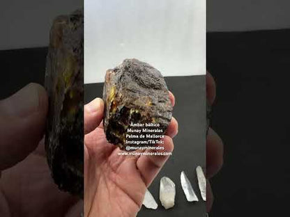Ámbar báltico - Munay Minerales Mallorca