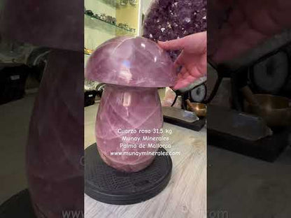 Cuarzo rosa 31,5 kg.  champiñón seta
