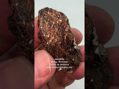 Astrofilita Munay Minerales Mallorca