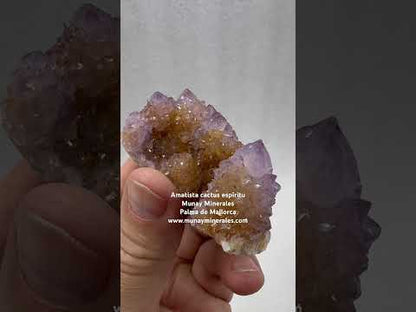Drusa de amatista cactus espíritu