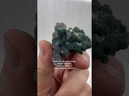 Ágata calcedonia uva Grape