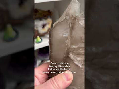 Elestial Master Quartz Skeletal Alligator 3.7 kg.