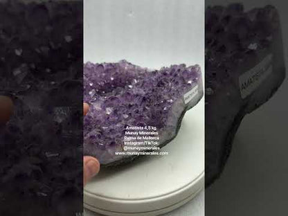 Drusa de amatista Amethyst cluster