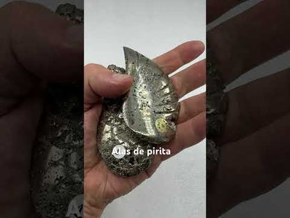 Alas de pirita Munay Minerales Mallorca