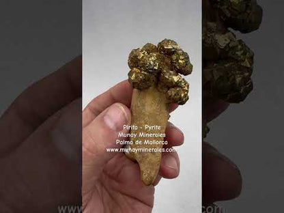 Pirita en grupo matriz Pakistán