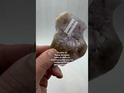 Auralita 23 rodaja pulida