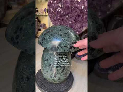 Jaspe nébula kambaba 42 kg. seta champiñón