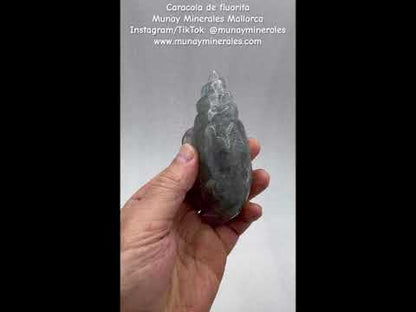 Caracola de fluorita