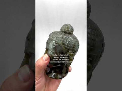 Buda de labradorita