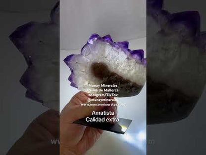 Drusa de amatista 1,3 kg. - Munay Minerales Mallorca