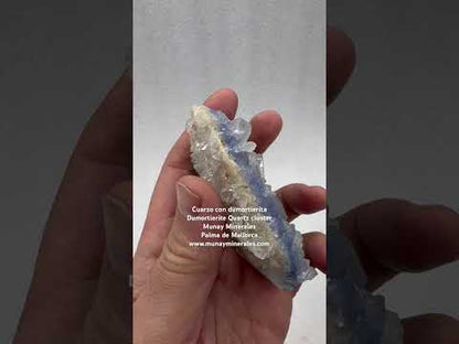 Dumortierita en grupo de cuarzo