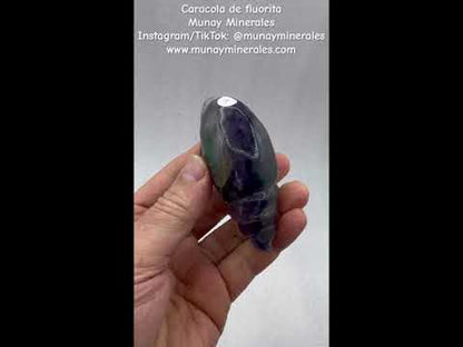 Caracola de fluorita